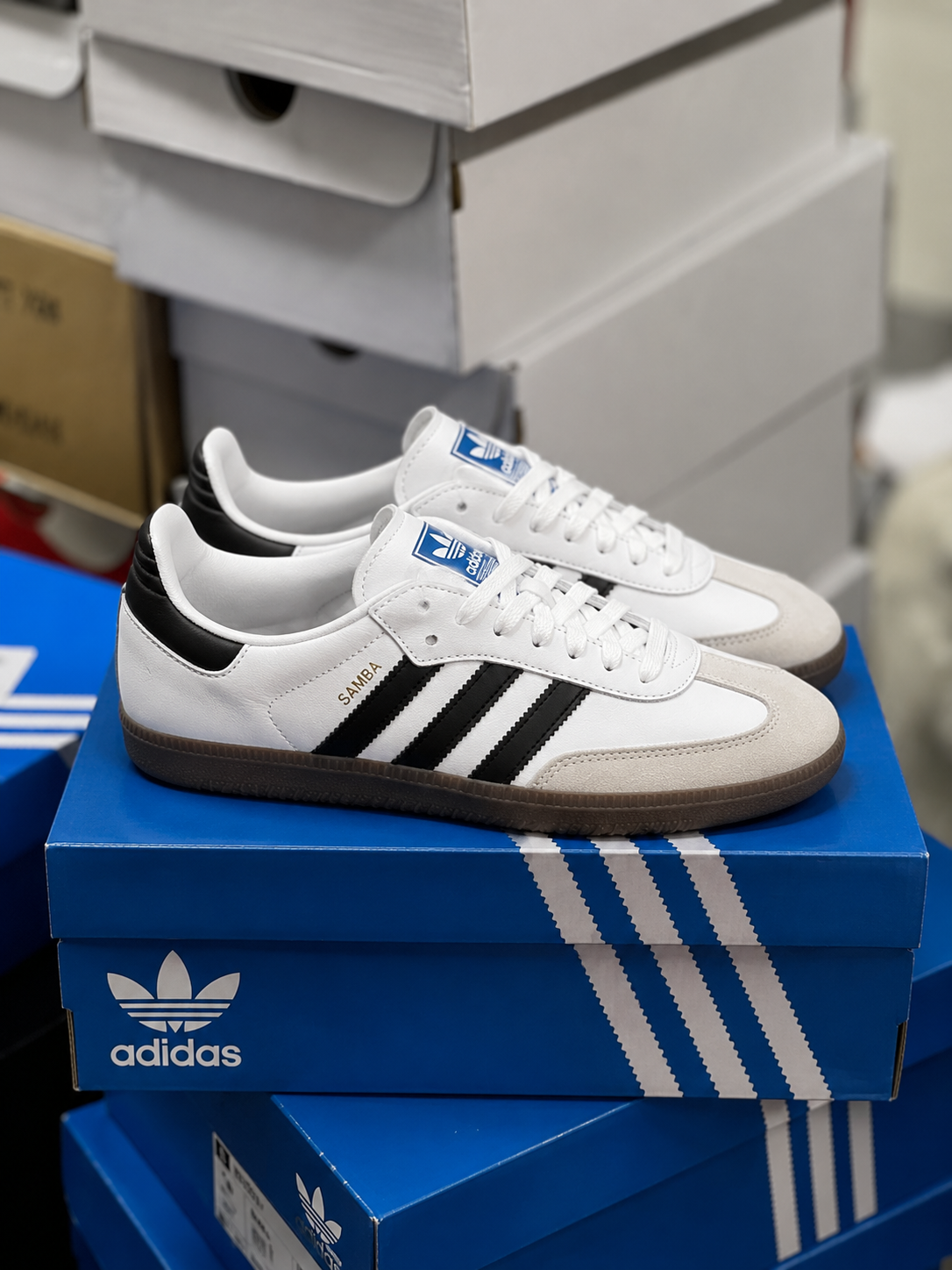 Adidas samba