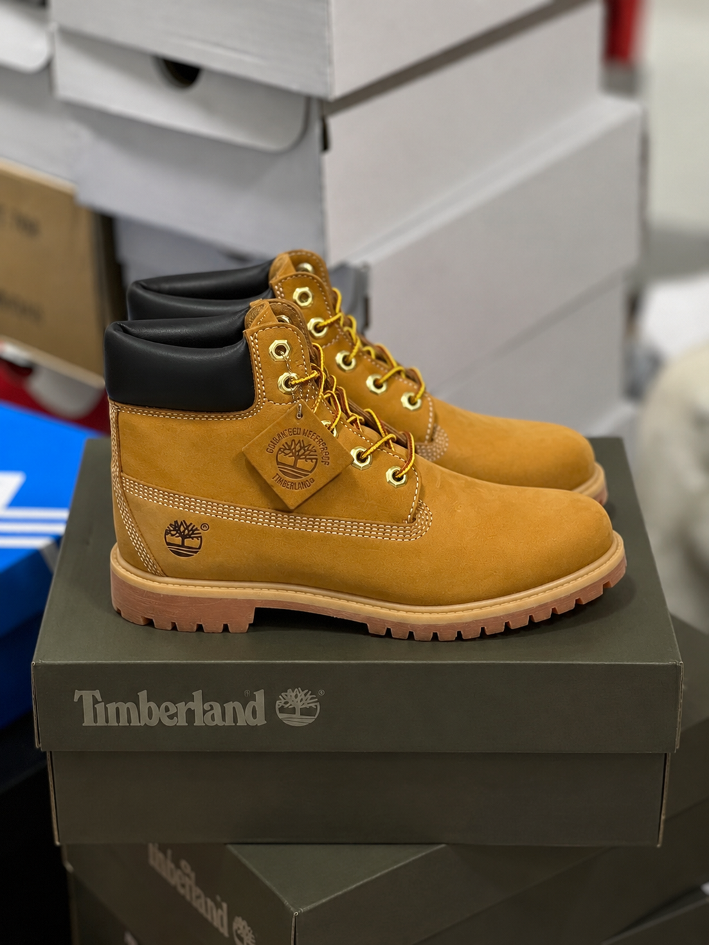 Timberland lace-up leather boots "Brown"